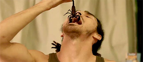 scorpion scorpion