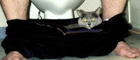 dumppic dumppic