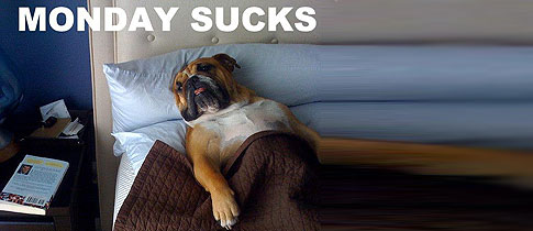 Punchbaby_Its_Monday Punchbaby_Its_Monday
