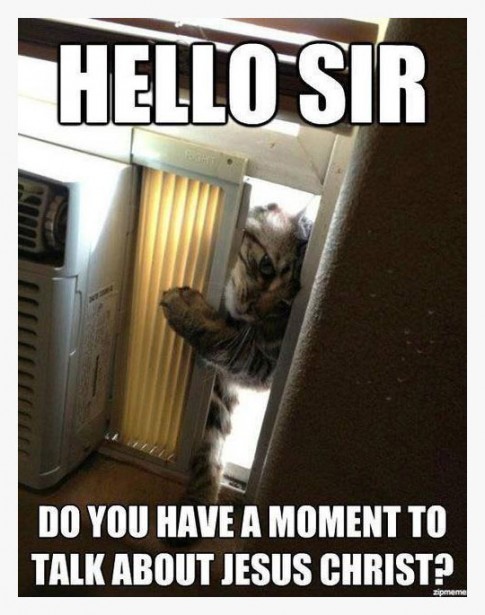 Jehovas-Kittens Jehovas-Kittens