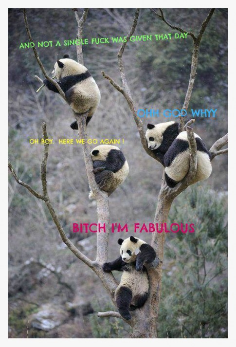 JustPandas JustPandas