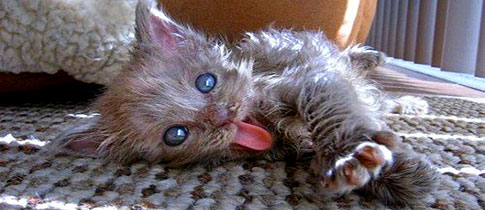 Punchbaby_Its_Monday Punchbaby_Its_Monday
