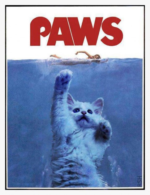 PussyAttack PussyAttack