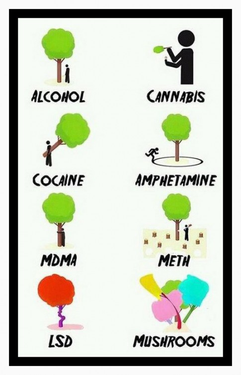 DrugsExplained