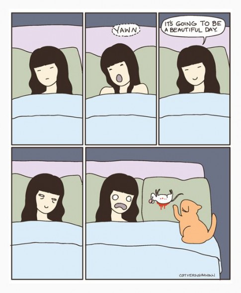 ScumbagCat