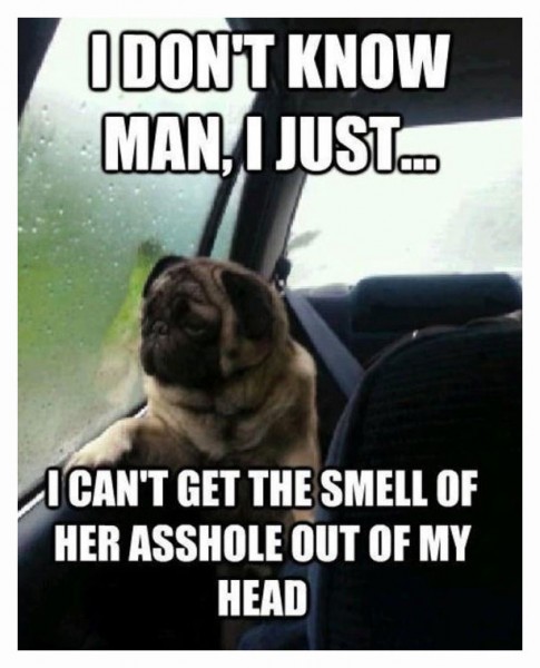 DoggieLove DoggieLove