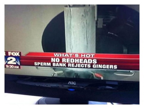 JustFoxNews JustFoxNews