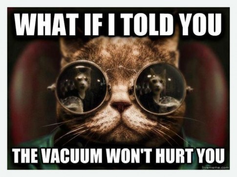 MorpheusCat