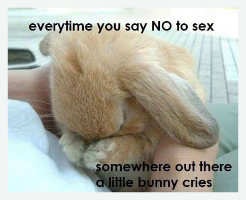 WeNeedHappyBunnies