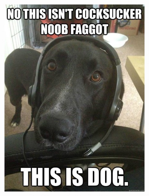 DogPlaysHalo DogPlaysHalo