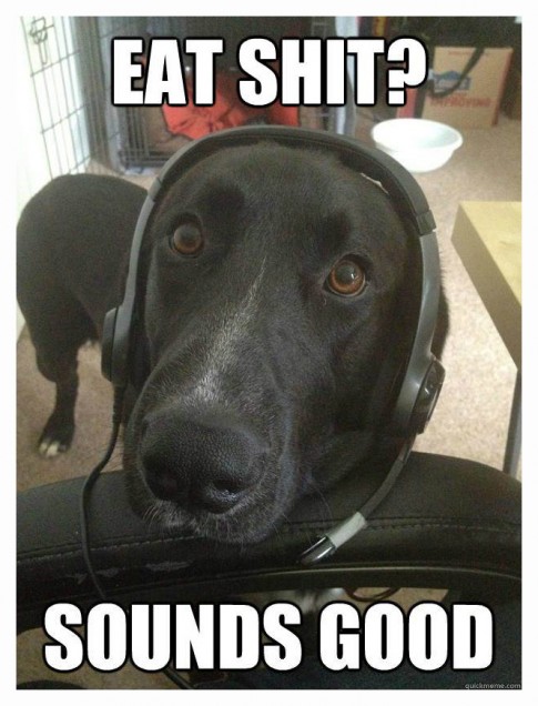 GamerDogbrb GamerDogbrb