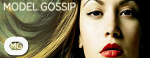 Model Gossip