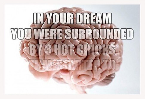 ScumbagBrain