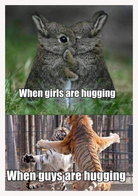 HuggingGirlsvsGuys