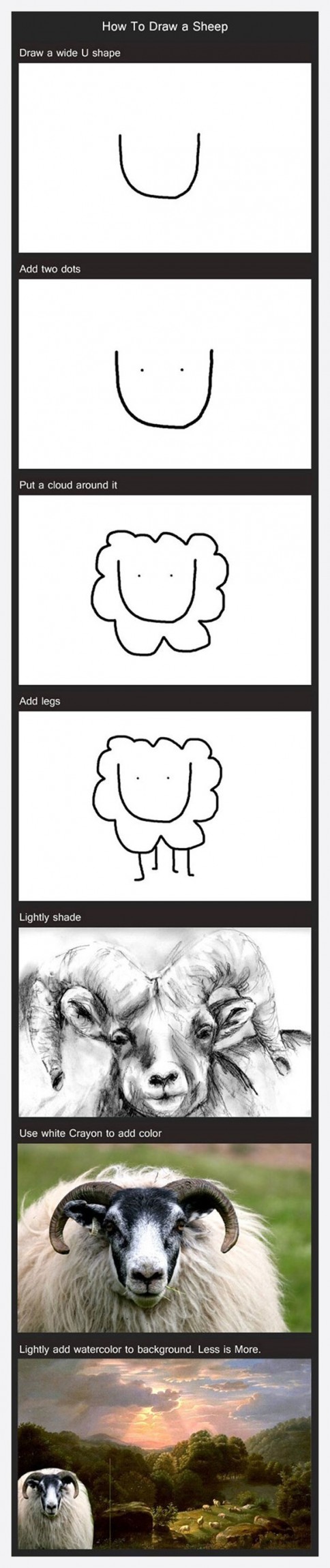 How-To-Draw-Sheep-picture1071