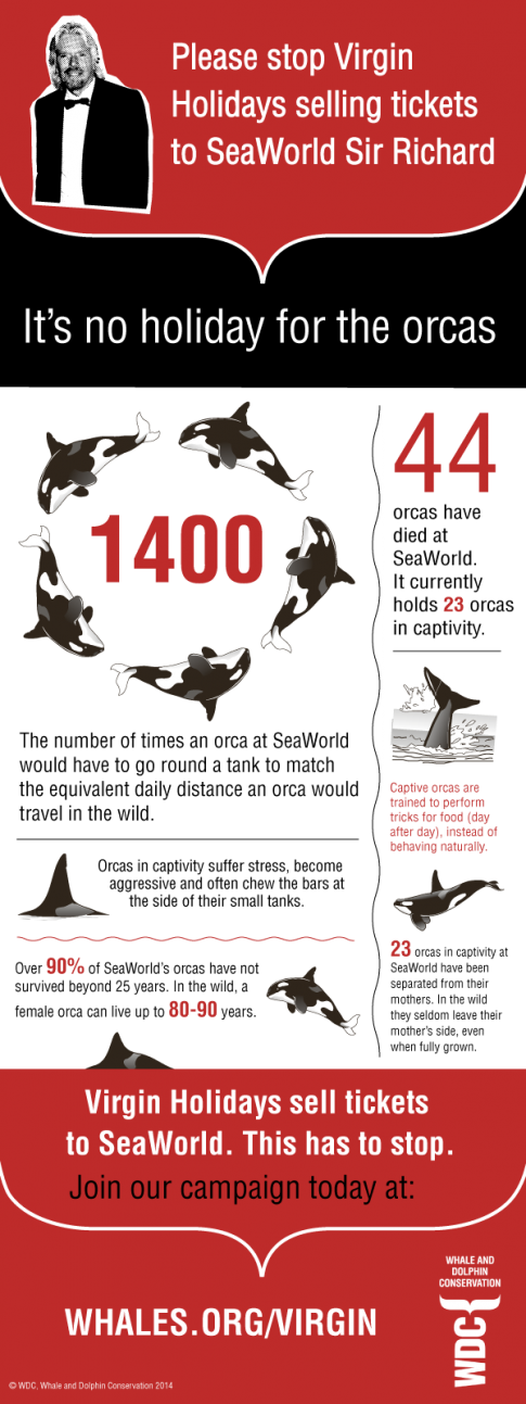 virgin-orca-infographic