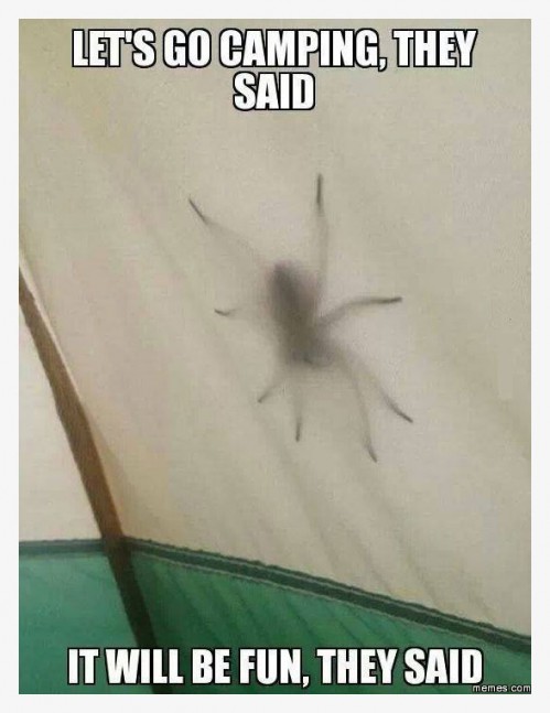 CampingIsScary