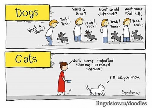 DogsvsCats